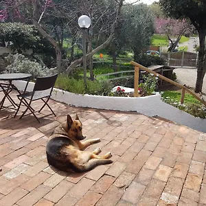  Bed & Breakfast La Casa Di Cosa Italia